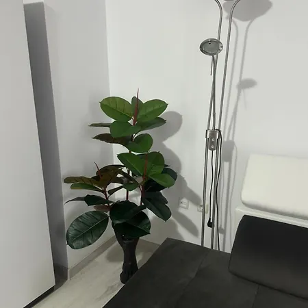 Apartman Yassen *